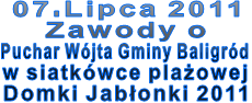 07.Lipca 2011  Zawody o  Puchar Wójta Gminy Baligród  w siatkówce plażowej  Domki Jabłonki 2011